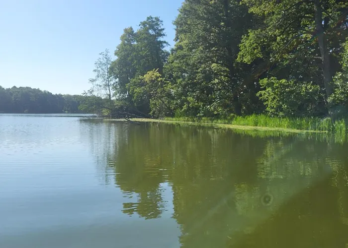 Sloneczne Wzgorze Nad Dadajem 1 Appartement Biskupiec (Olsztyn)