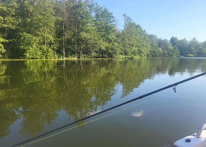 Sloneczne Wzgorze Nad Dadajem 1 * Biskupiec (Olsztyn)