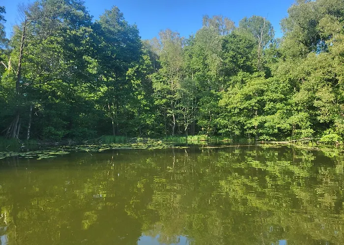 Sloneczne Wzgorze Nad Dadajem 1 Appartement *